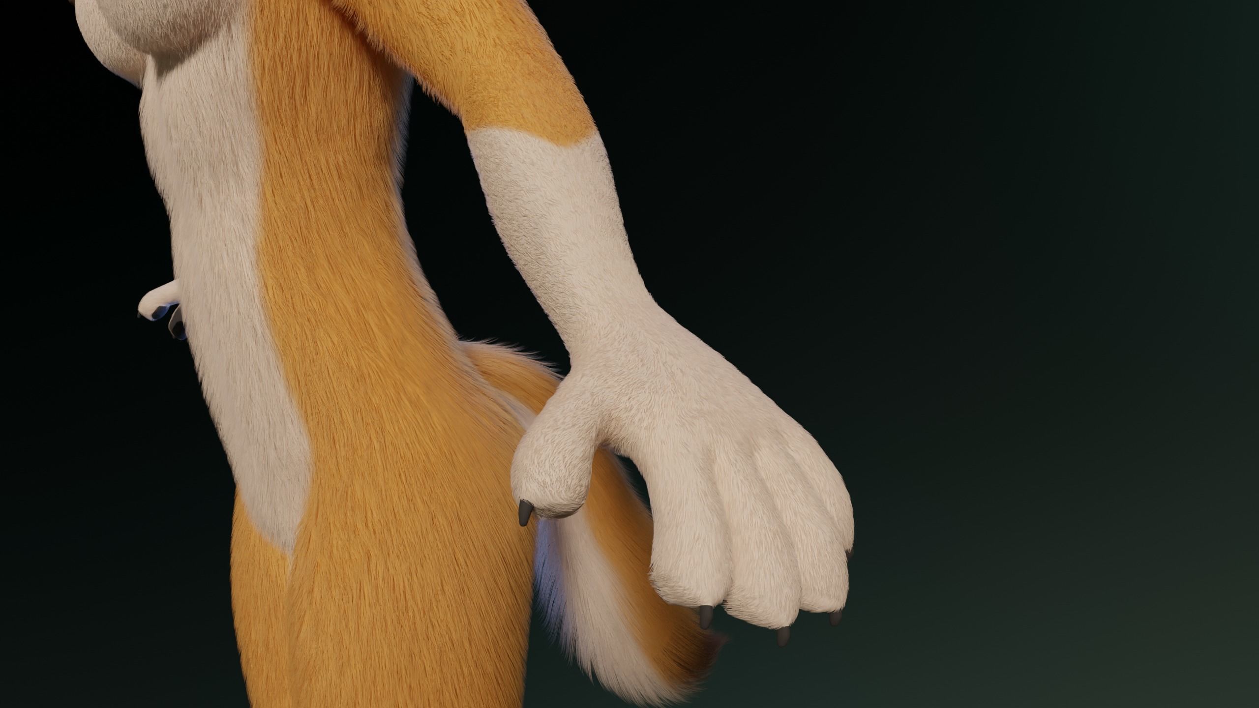 Yara Anthro Fox 3D model_11