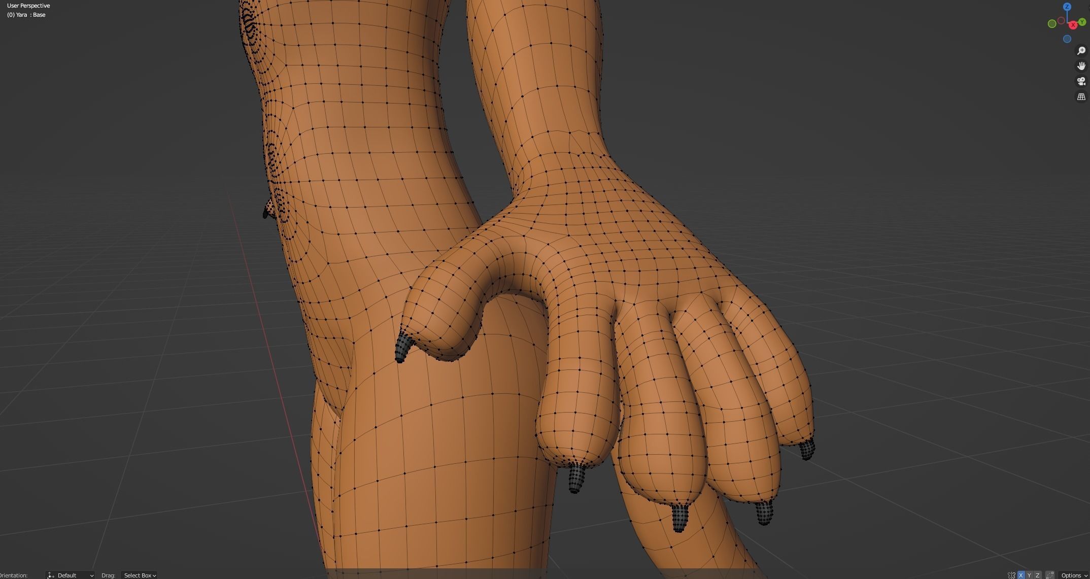 Yara Anthro Fox 3D model_58