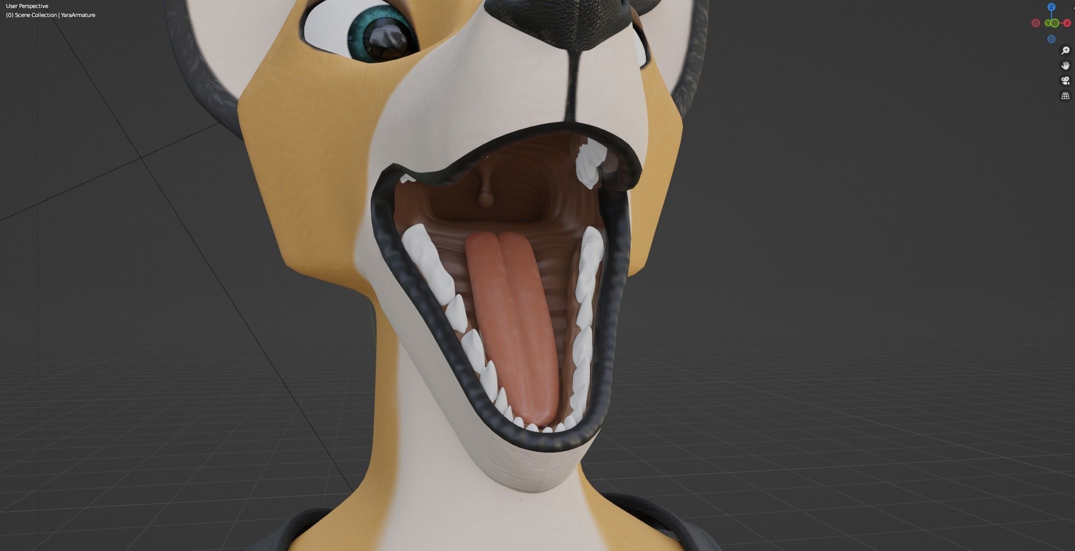 Yara Anthro Fox 3D model_82