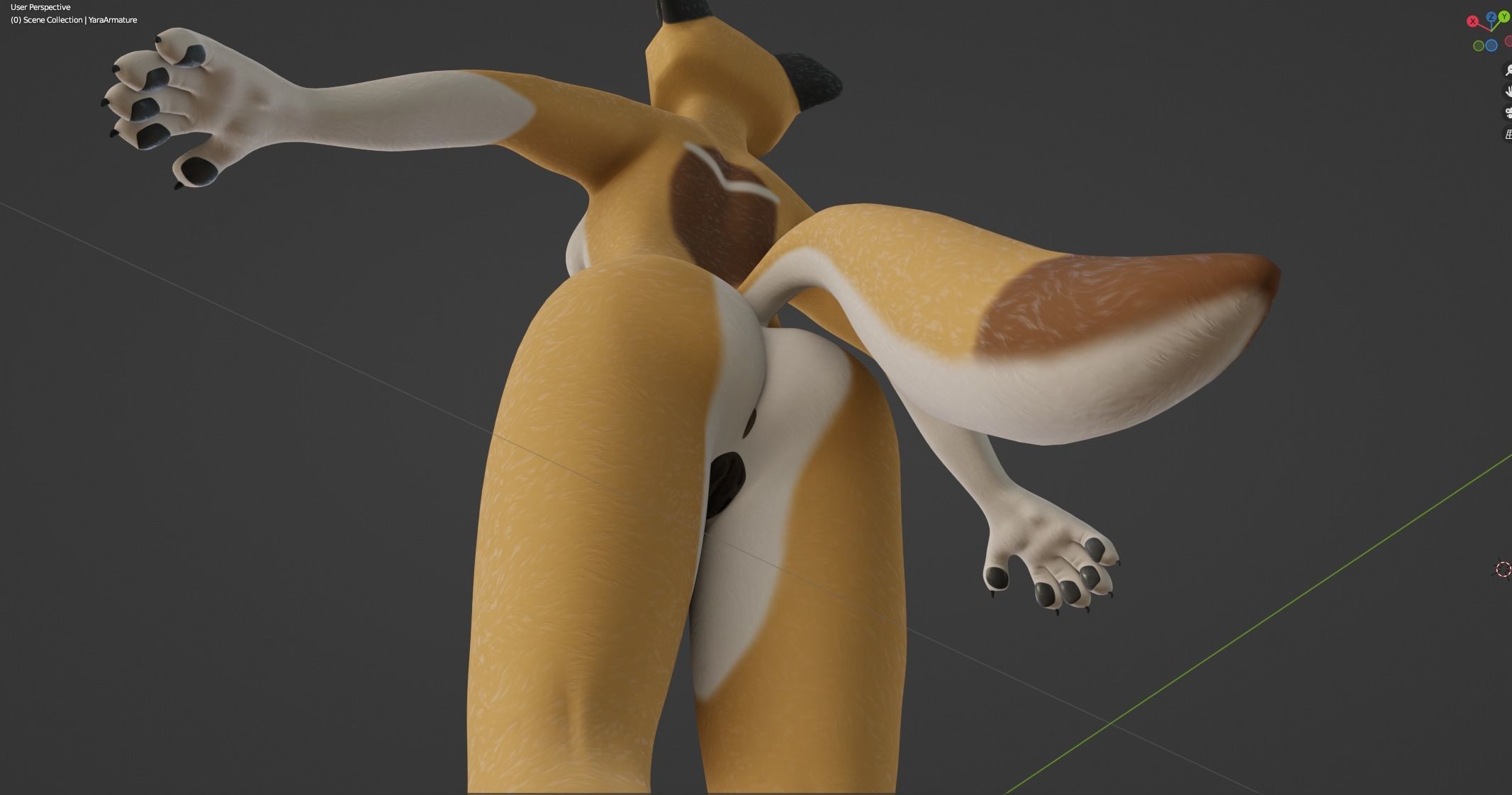 Yara Anthro Fox 3D model_48