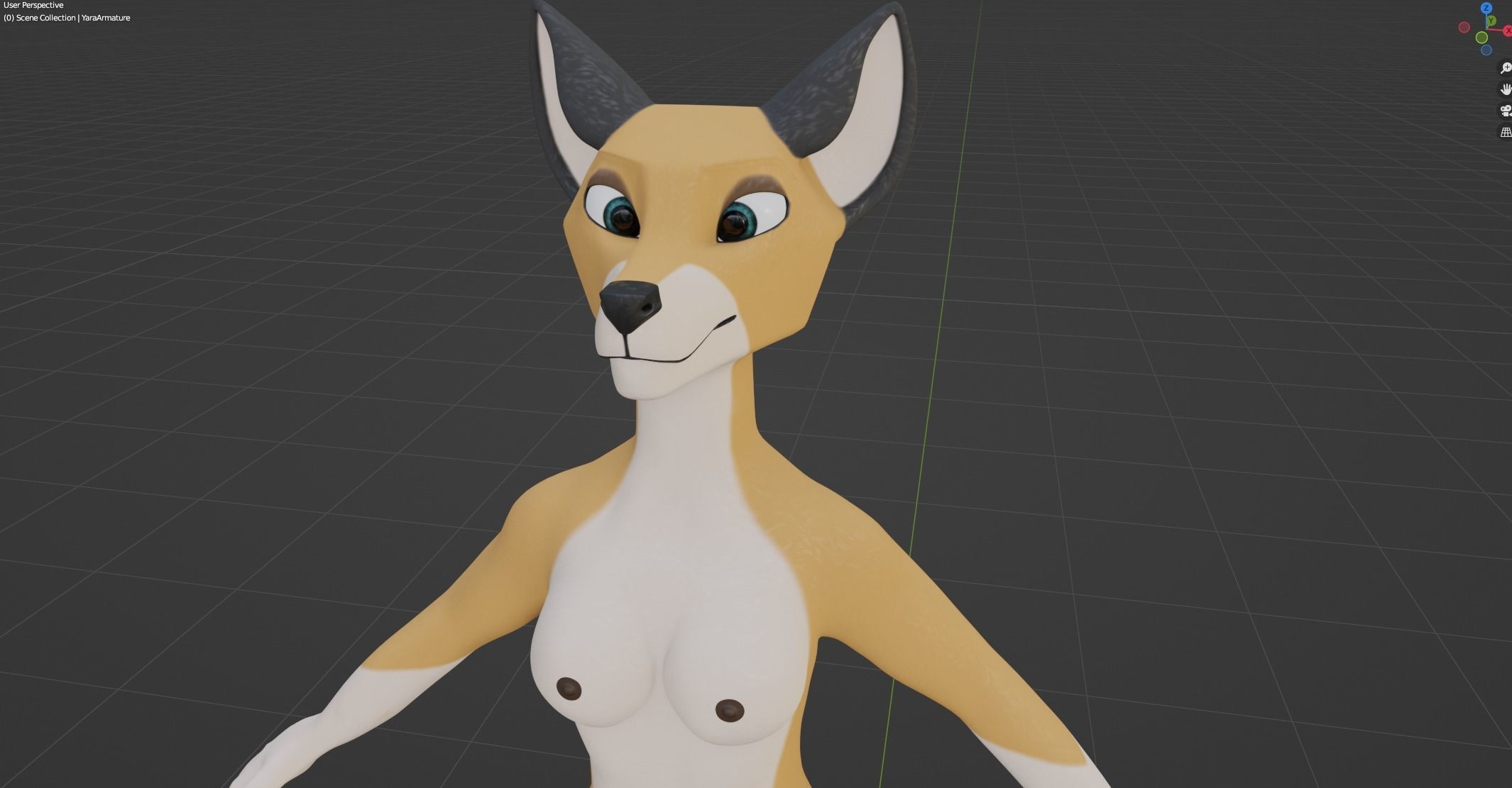 Yara Anthro Fox 3D model_47