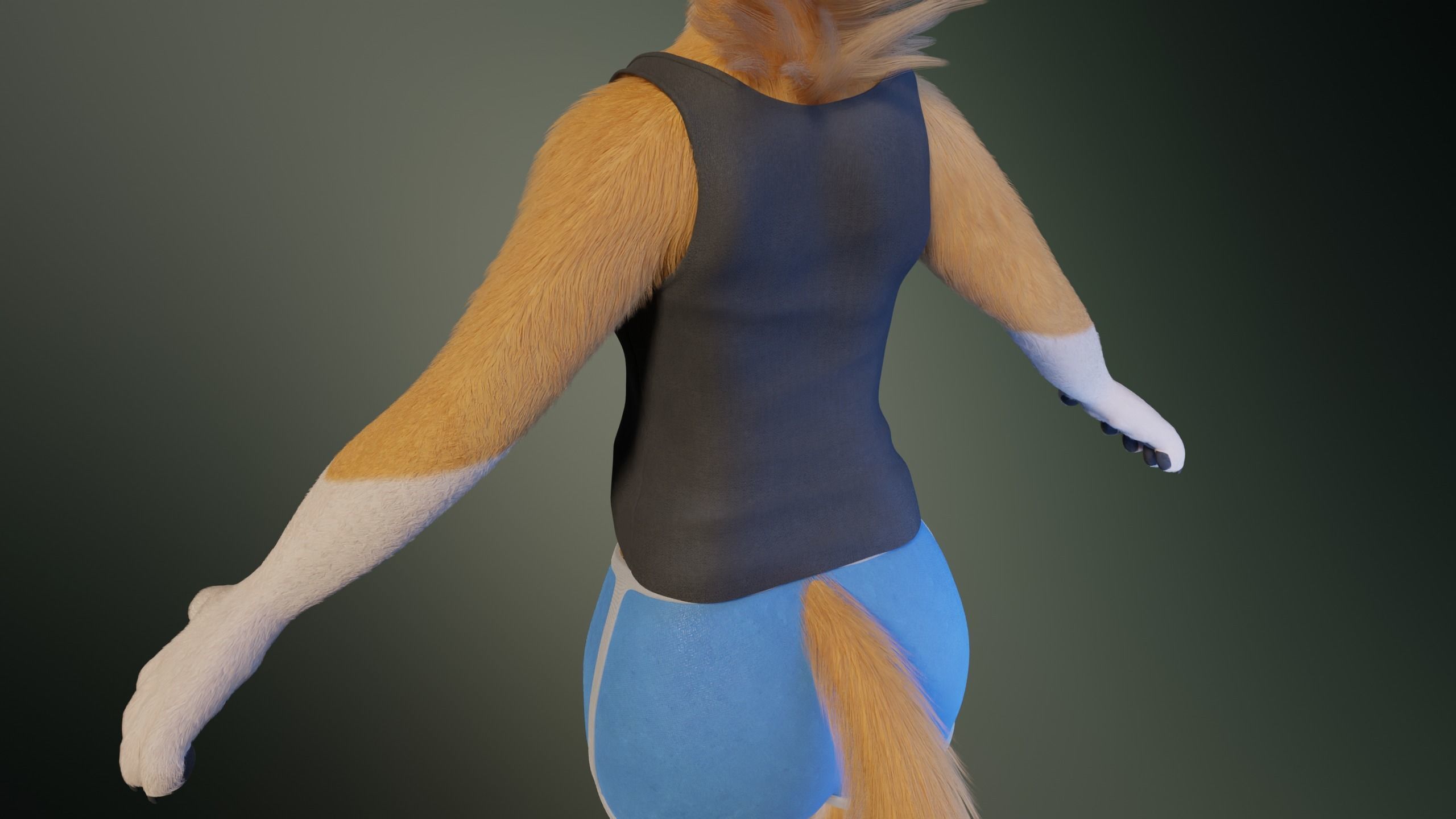 Yara Anthro Fox 3D model_29