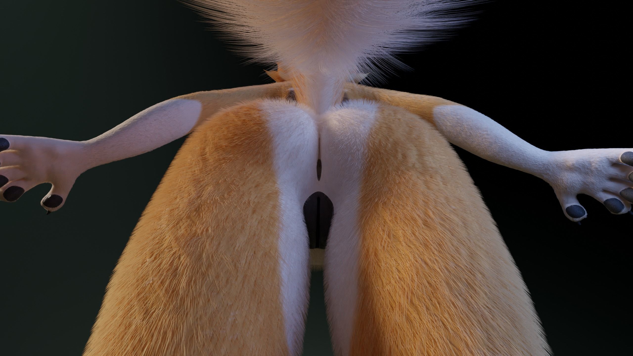 Yara Anthro Fox 3D model_17