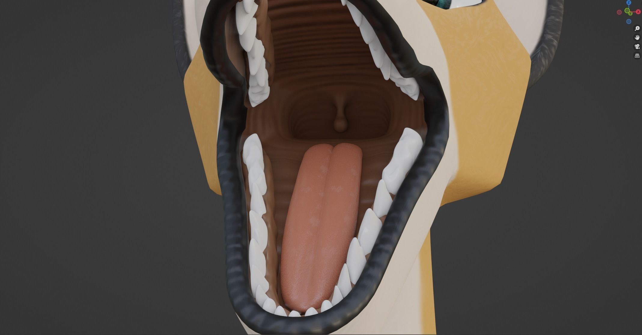 Yara Anthro Fox 3D model_84