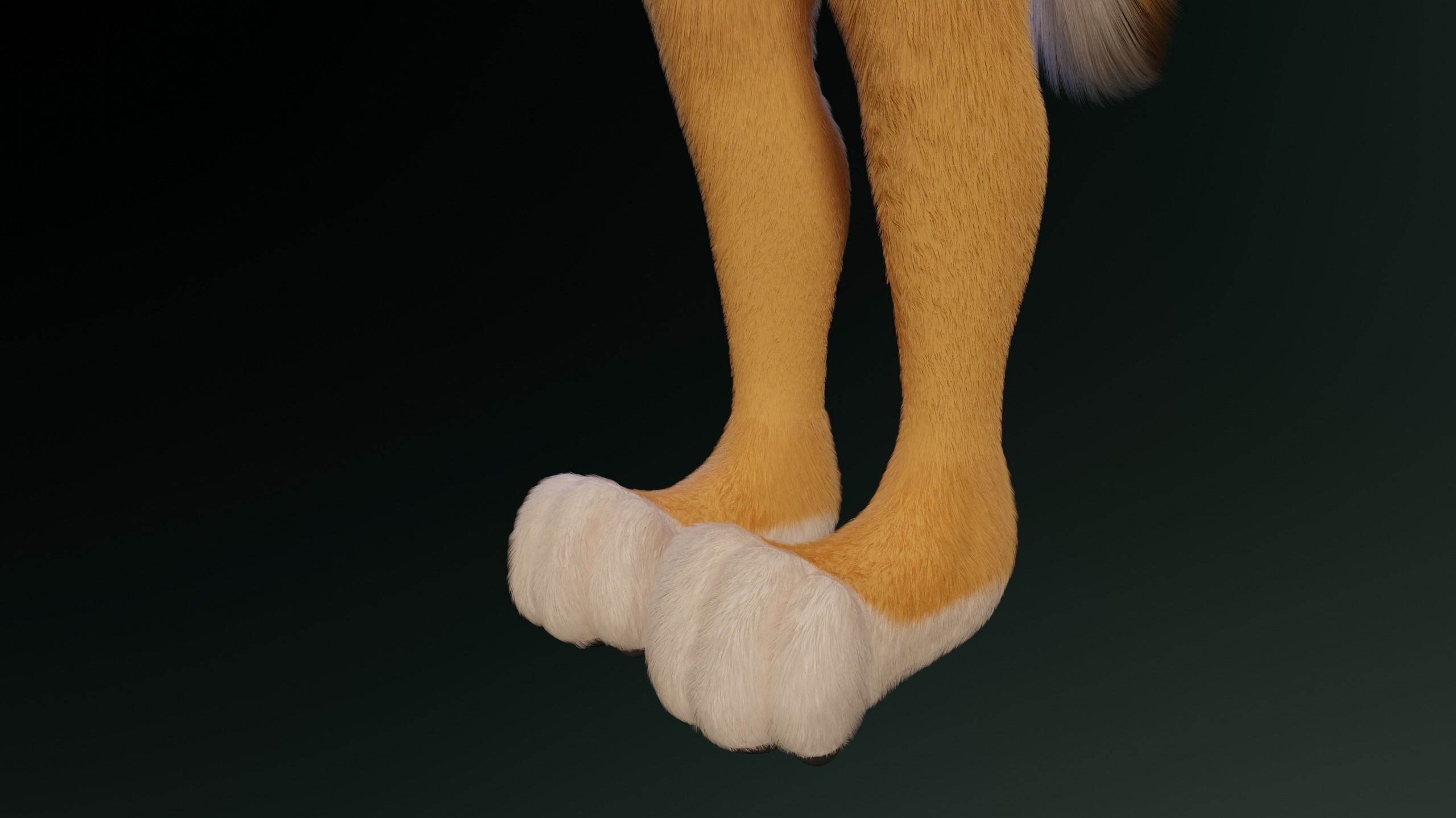 Yara Anthro Fox 3D model_13