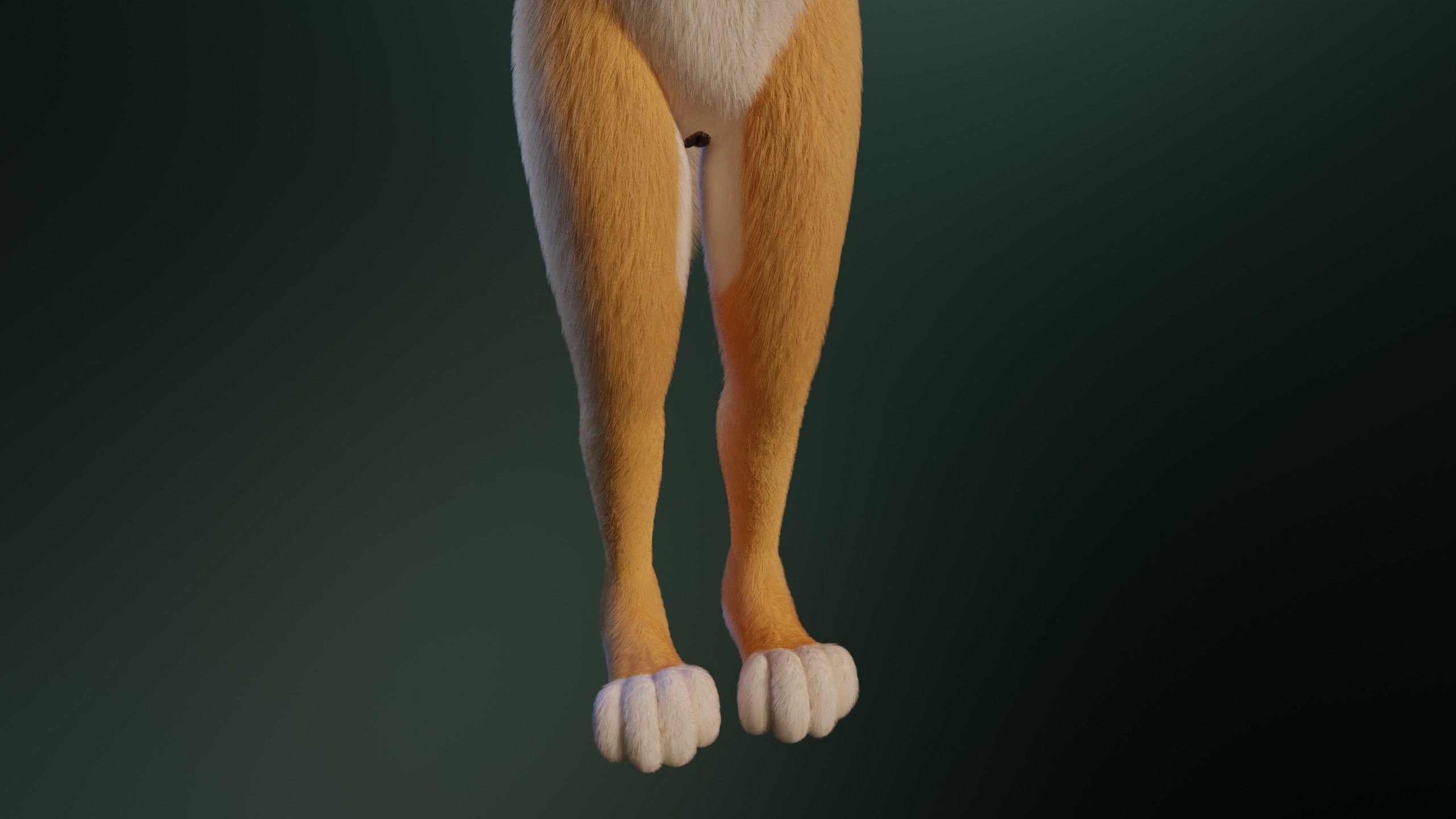 Yara Anthro Fox 3D model_8