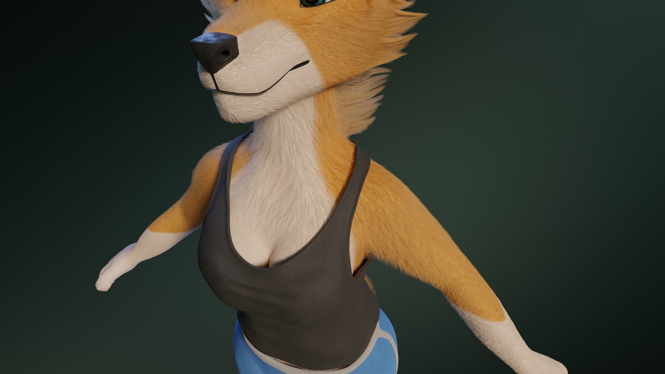 Yara Anthro Fox 3D model_30