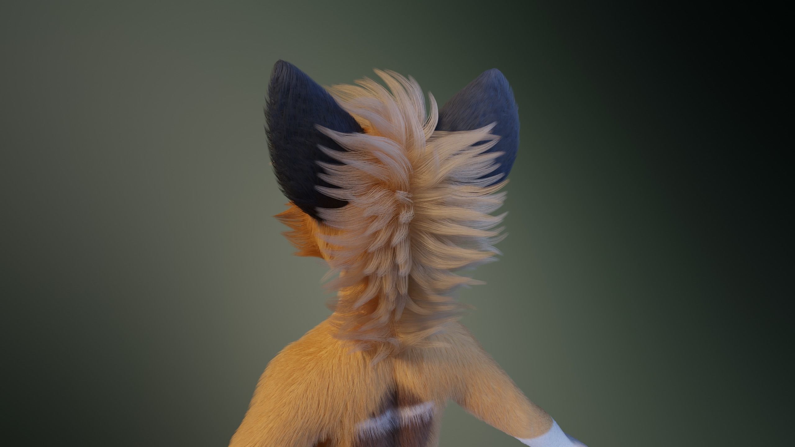 Yara Anthro Fox 3D model_5