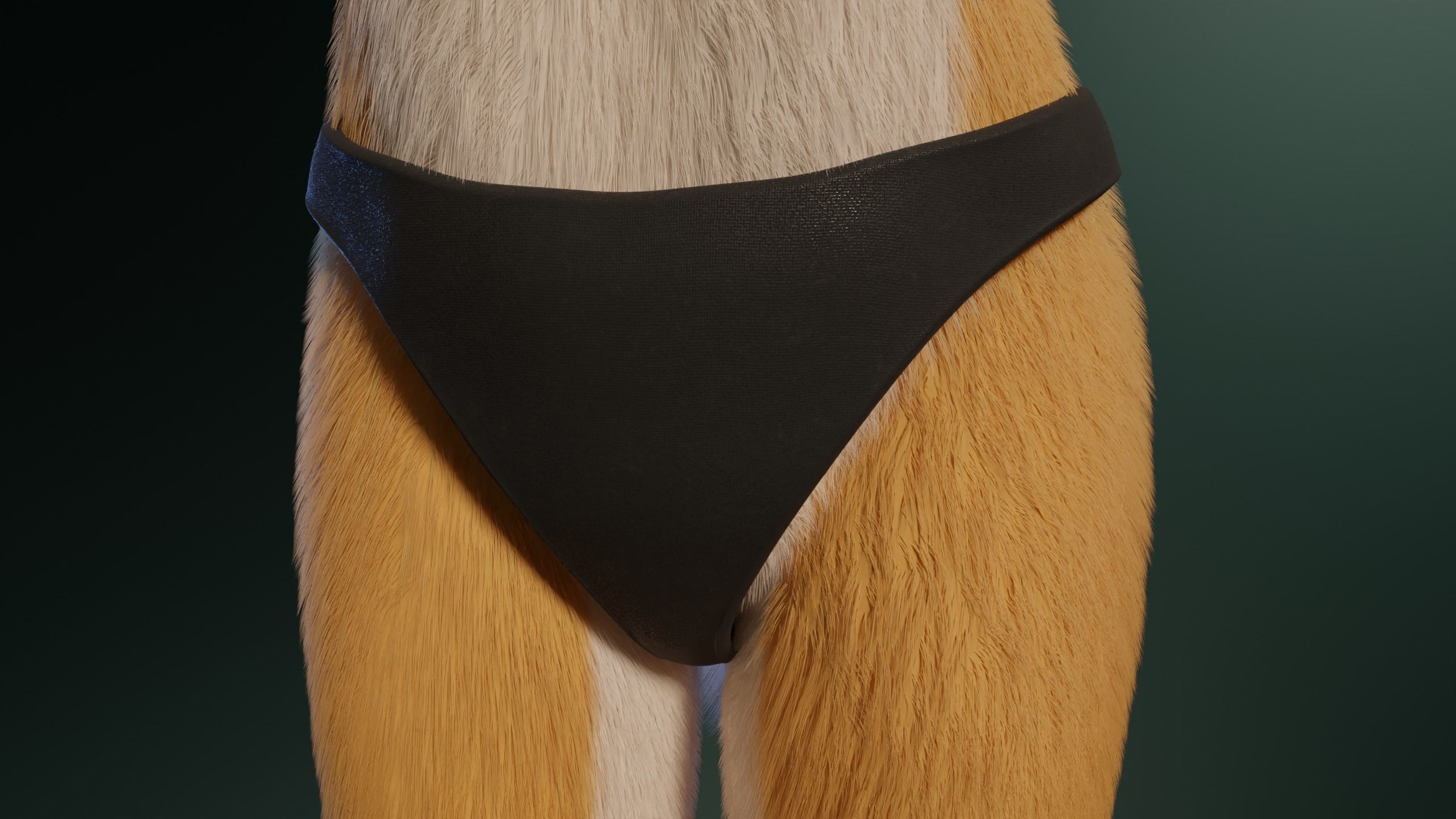 Yara Anthro Fox 3D model_22