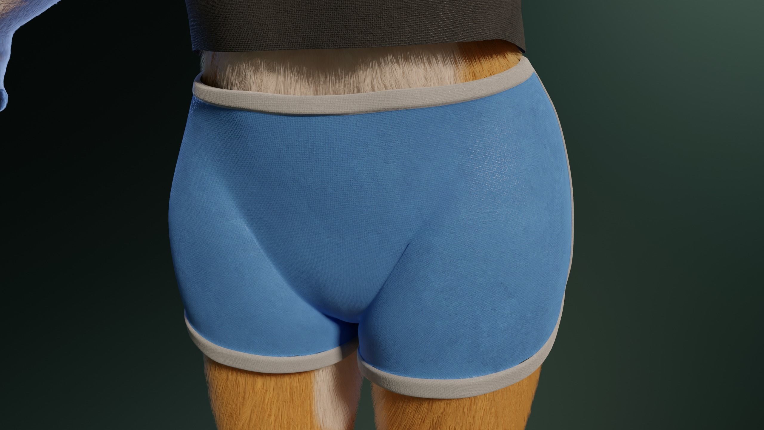 Yara Anthro Fox 3D model_26