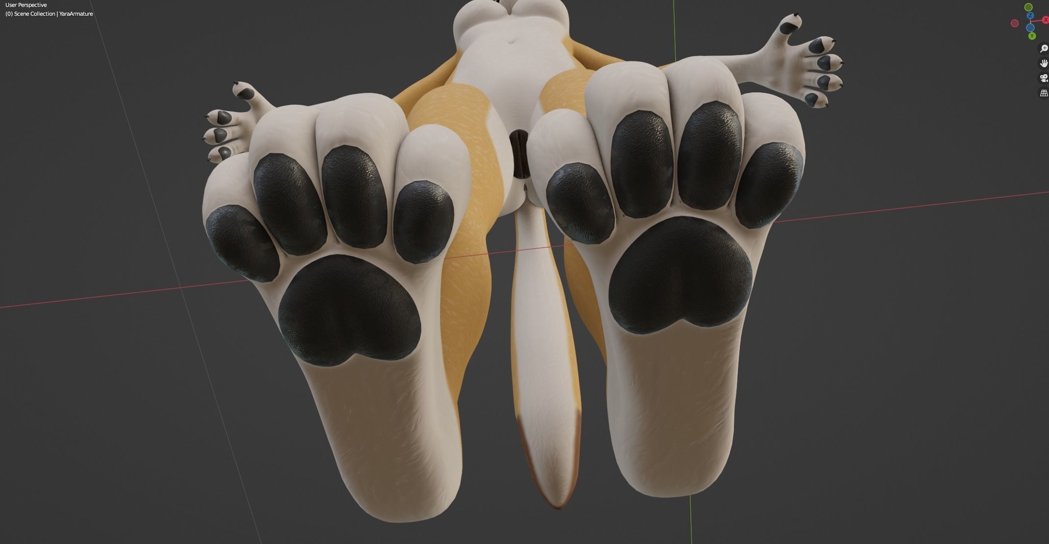 Yara Anthro Fox 3D model_50