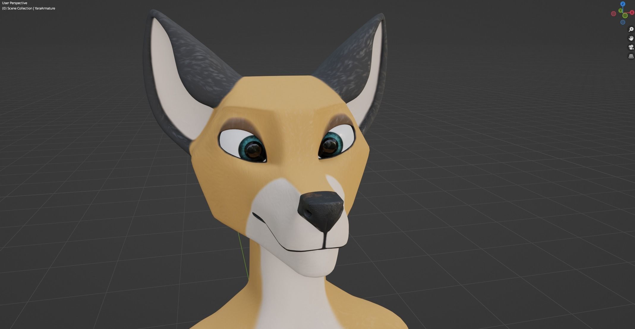 Yara Anthro Fox 3D model_46