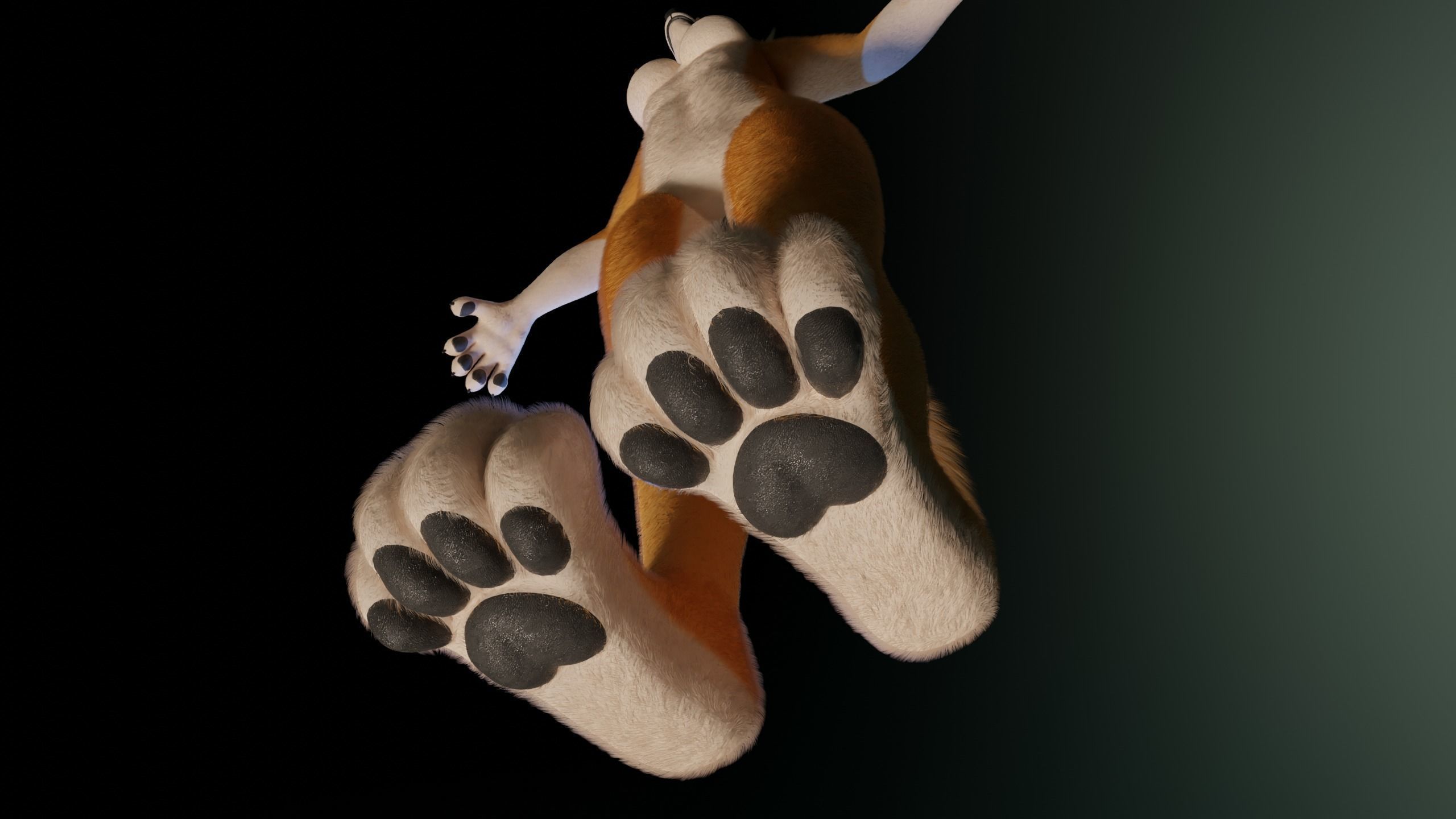 Yara Anthro Fox 3D model_14