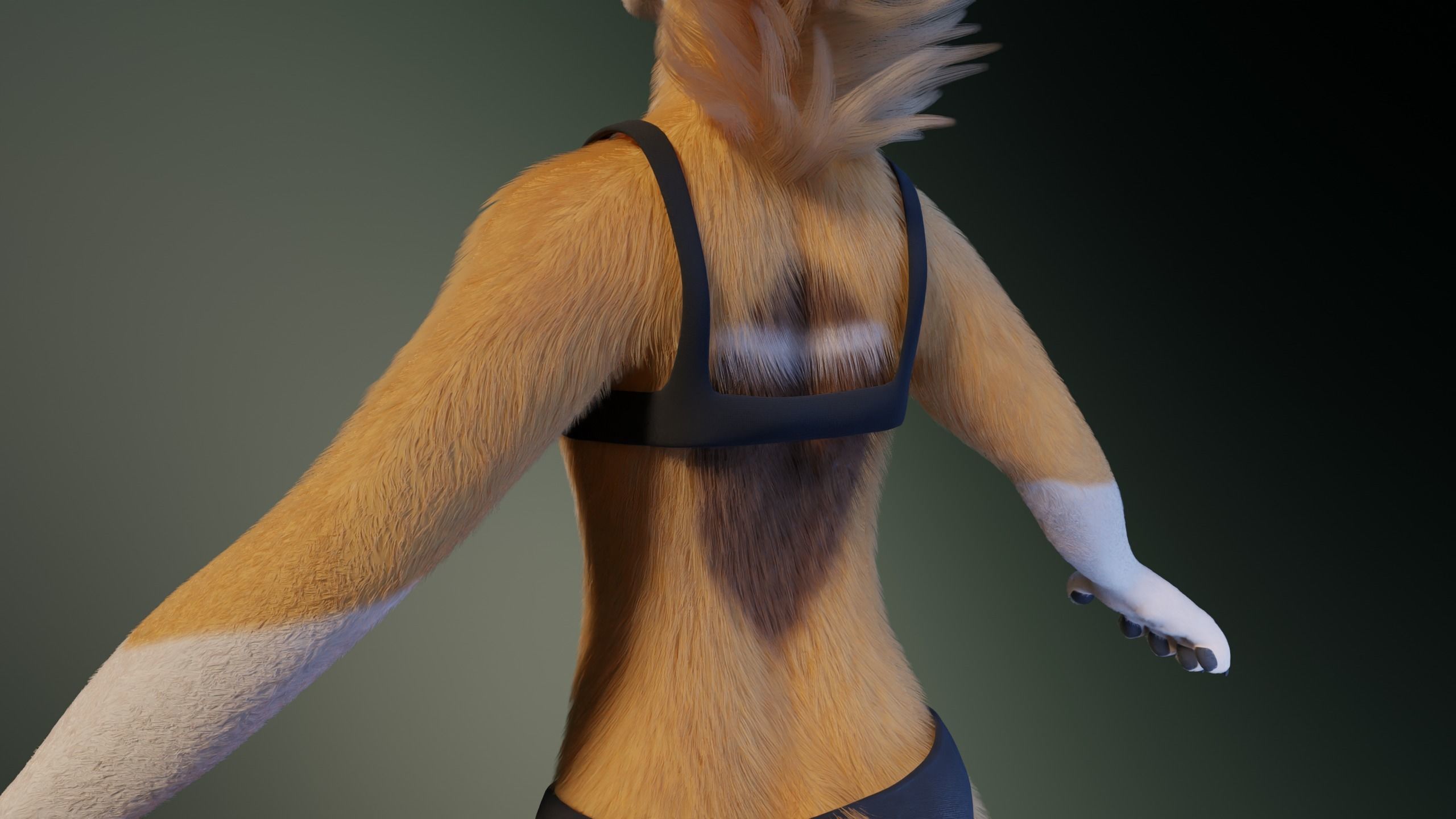 Yara Anthro Fox 3D model_25