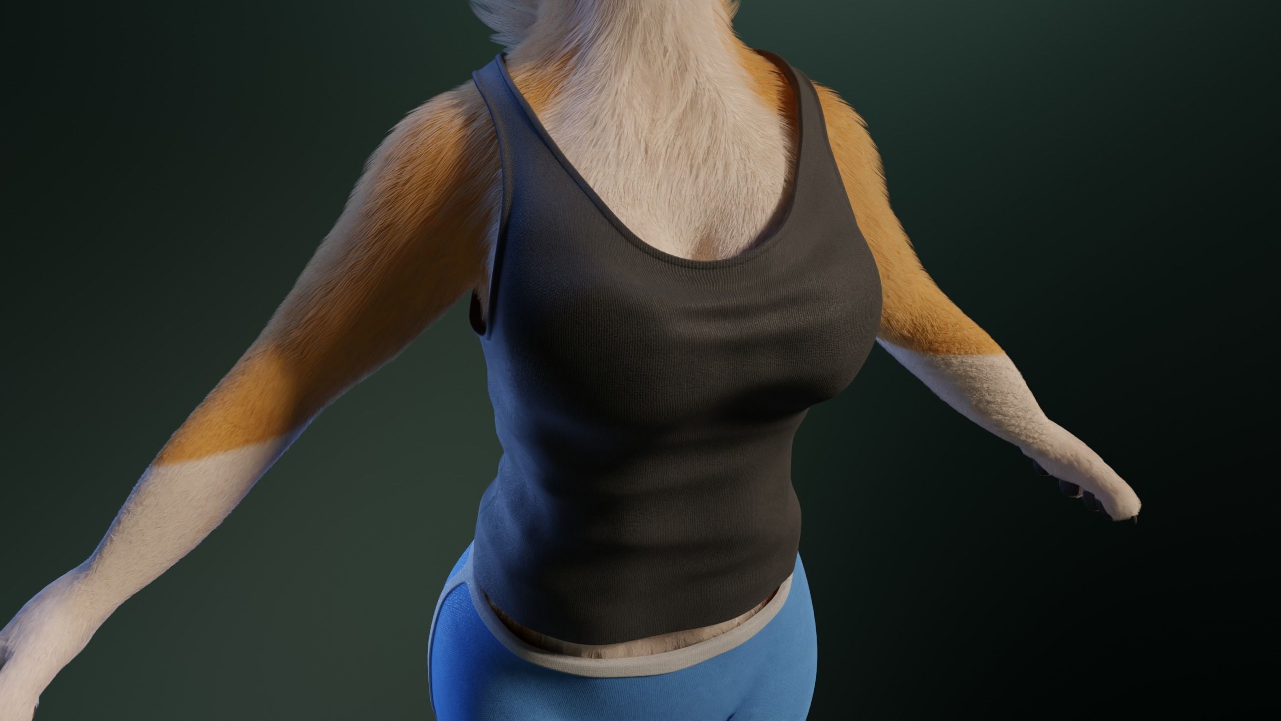 Yara Anthro Fox 3D model_28