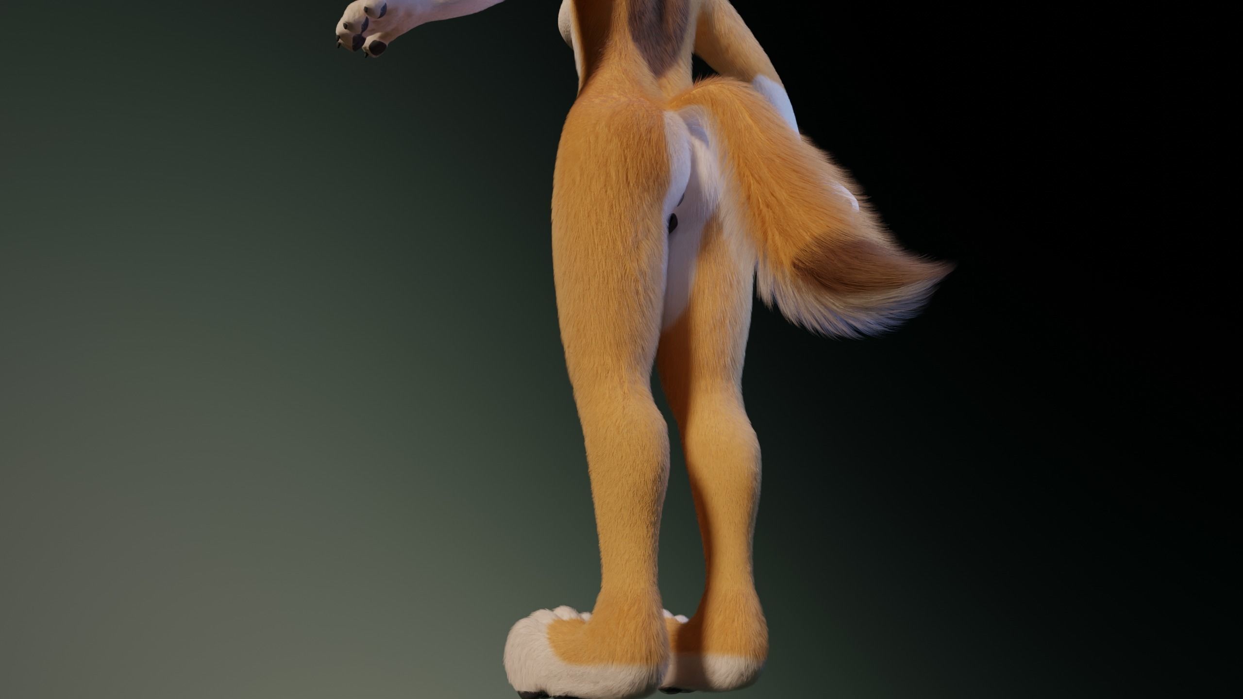 Yara Anthro Fox 3D model_9