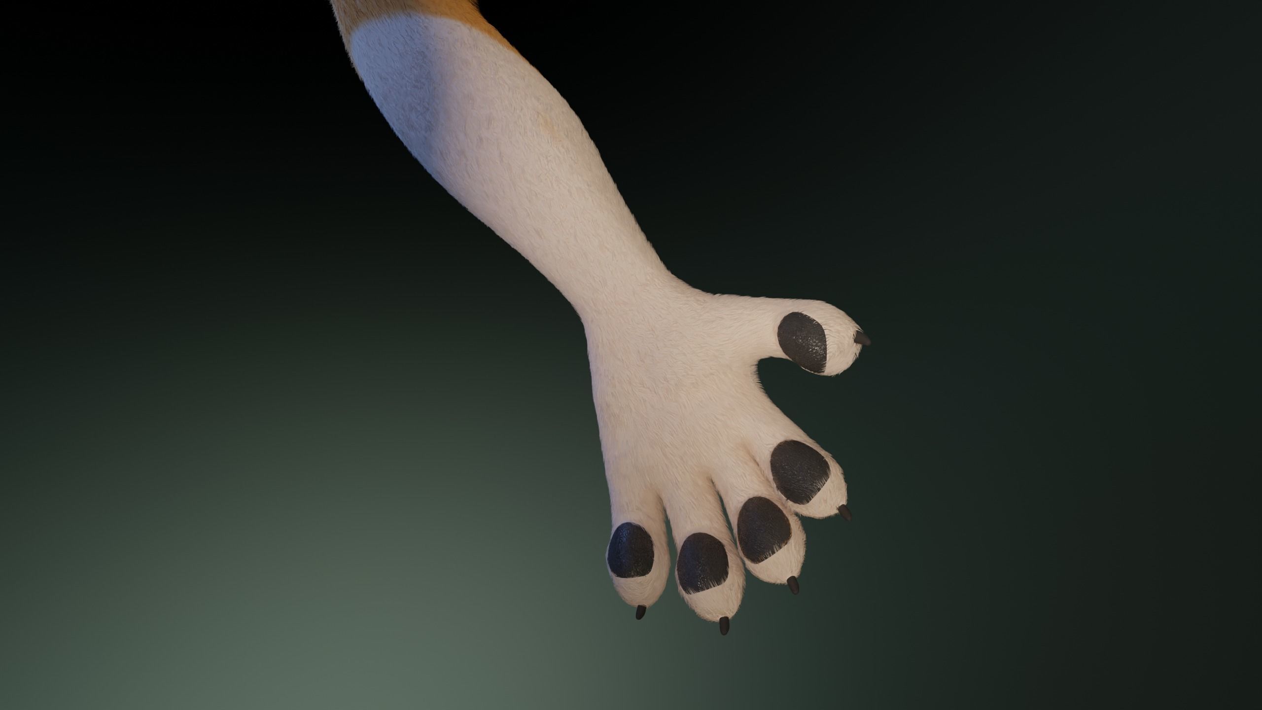 Yara Anthro Fox 3D model_12