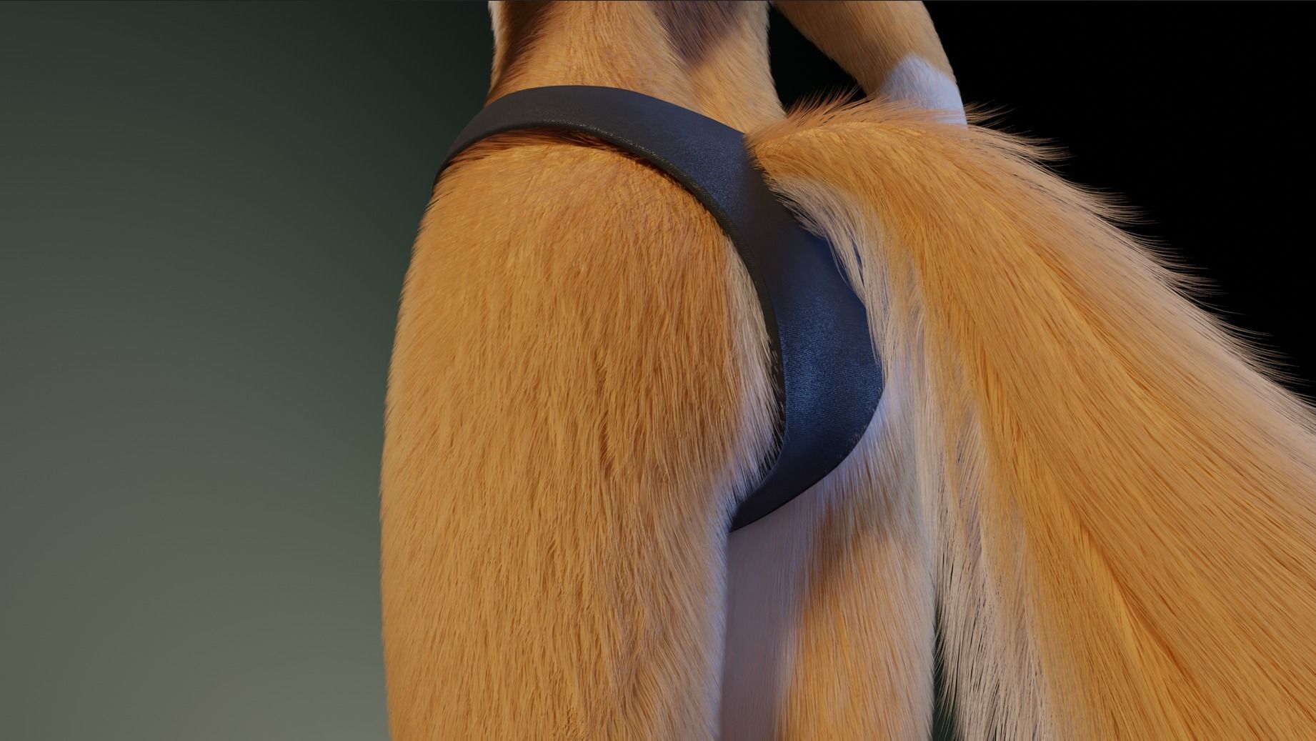 Yara Anthro Fox 3D model_23