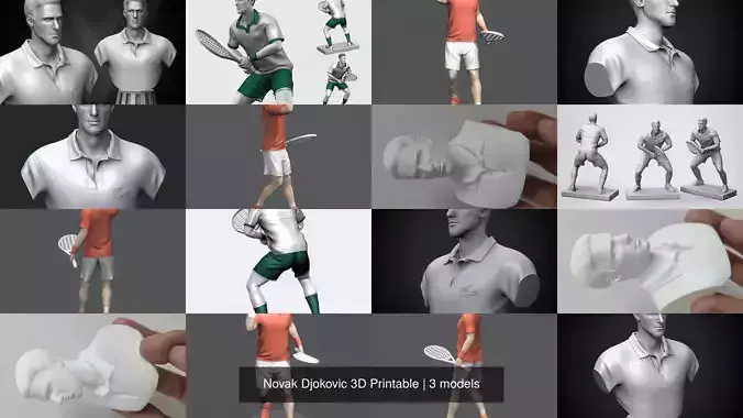 Novak Djokovic 3D Printable 3D Model Collection