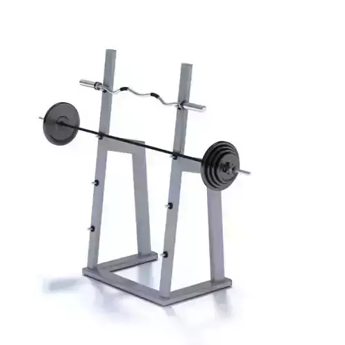 Squat Rack With Weights
