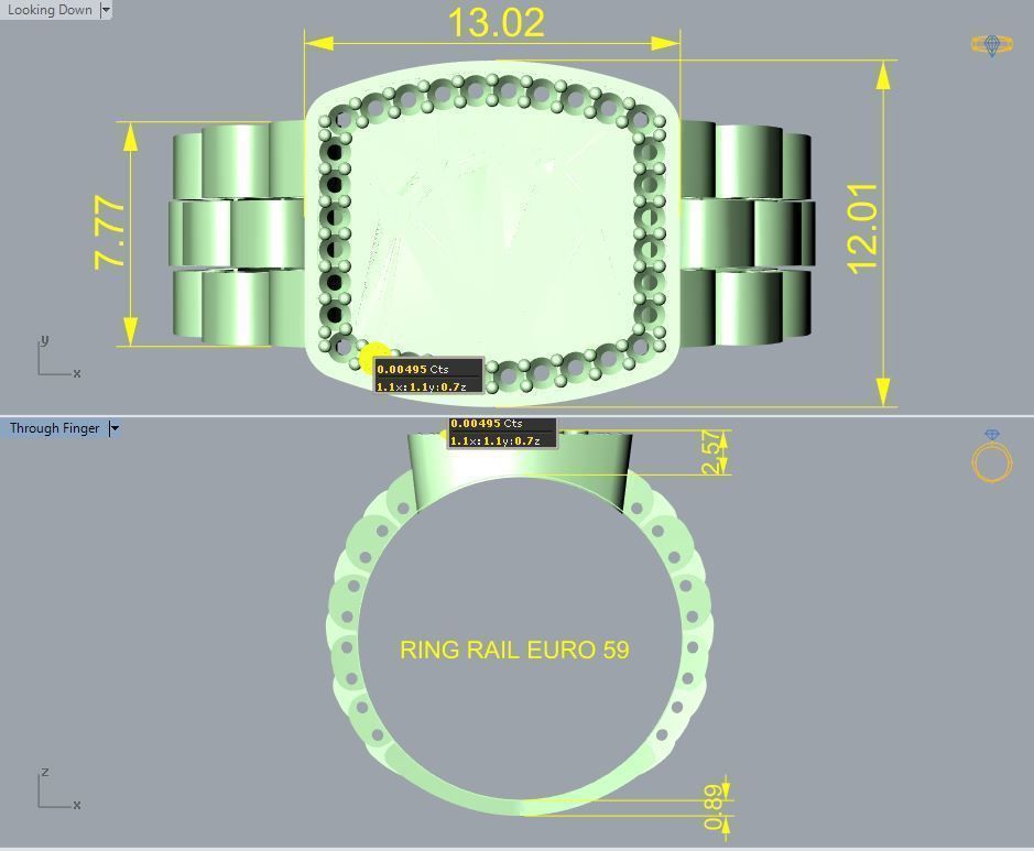 Ring R 106 3D print model_4