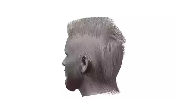 Face with Hair