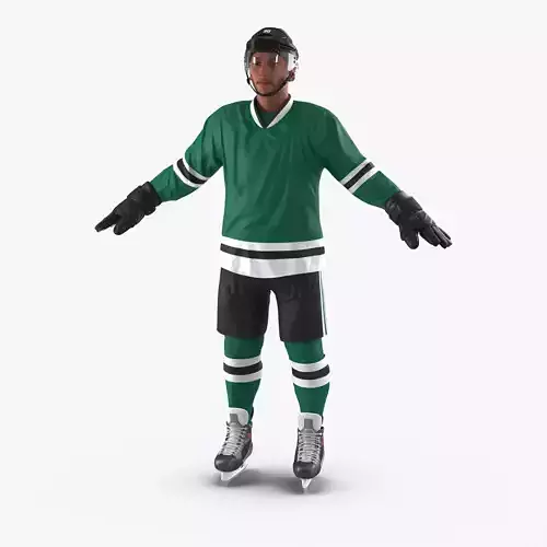 Hockey Player Generic