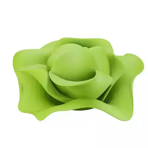 Cabbage rose flower Low-poly 3D model