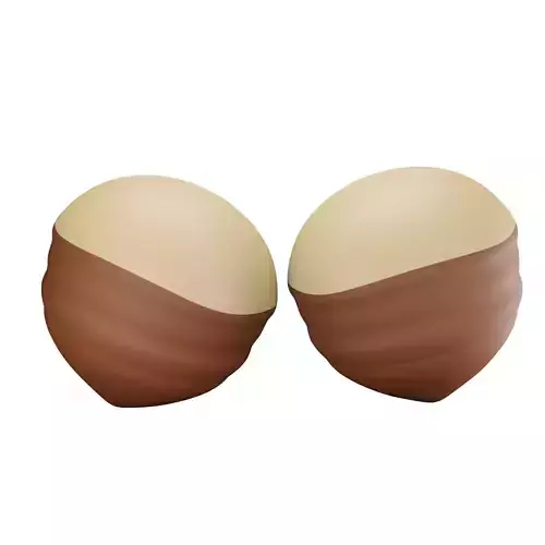 Chestnut two chocolate hazelnuts