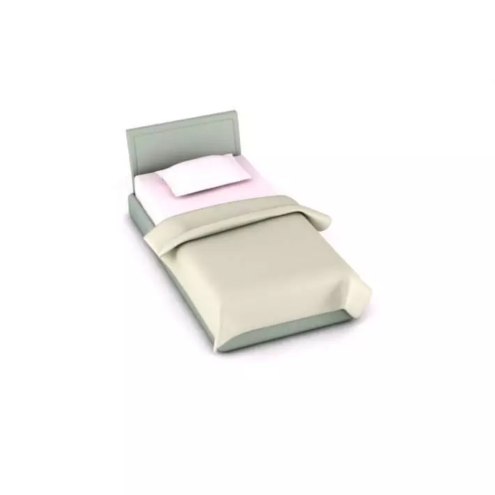 Bed And The Pillow 3D model_0