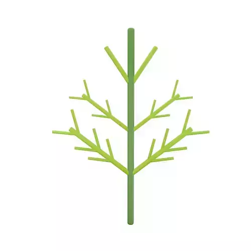 Dill 3D Model fir tree