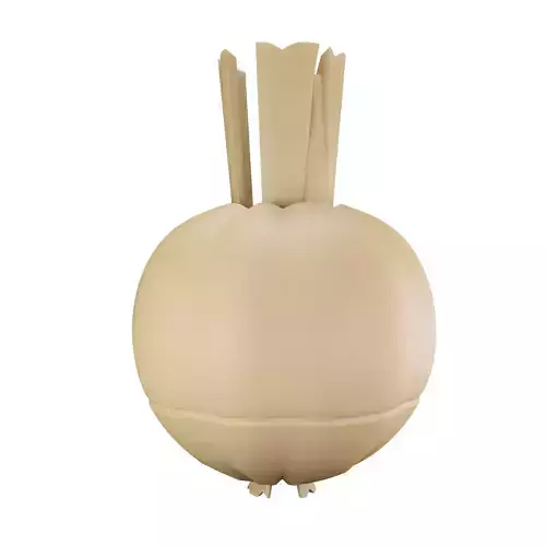 Garlic onion Low-poly 3D model