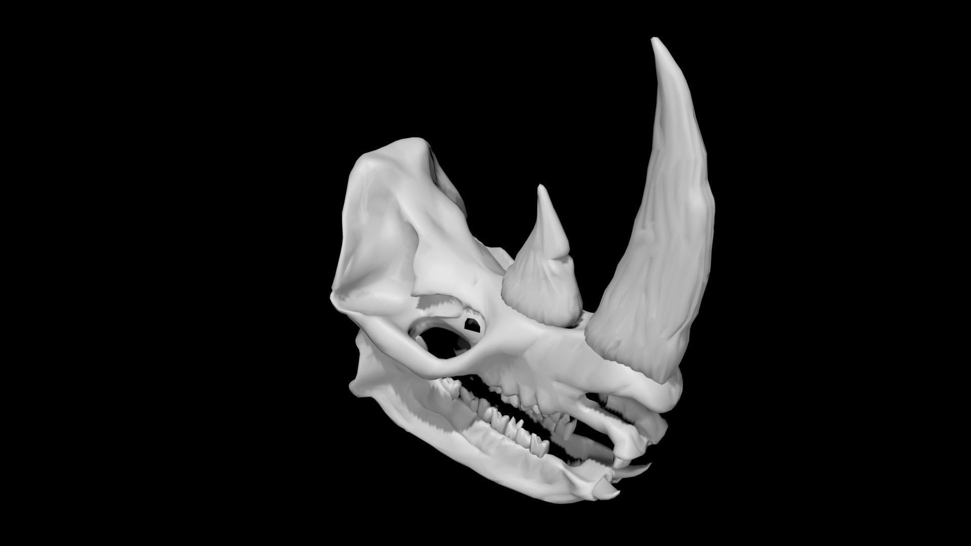 Rhino skull Low-poly 3D model_5