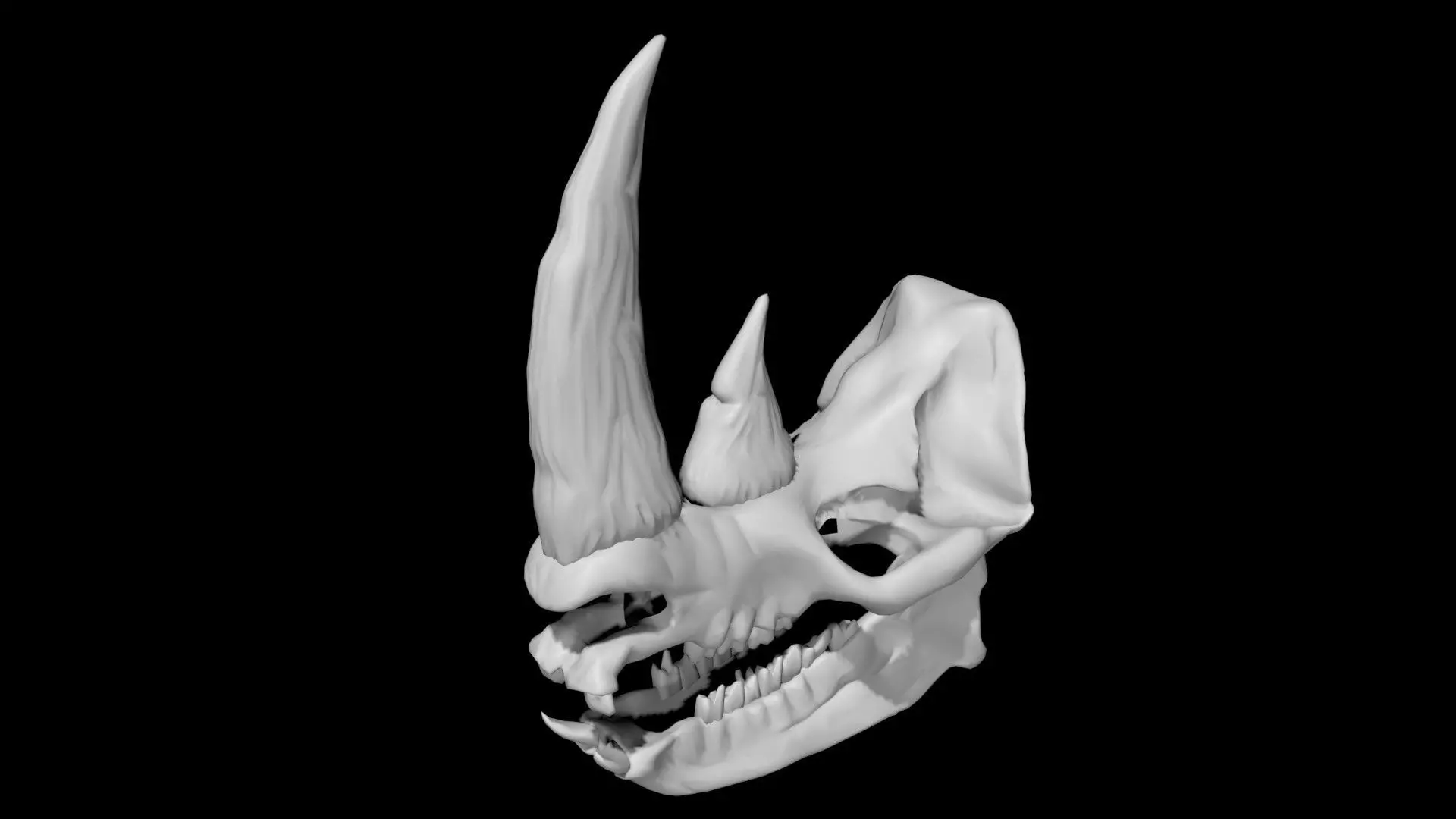 Rhino skull Low-poly 3D model_0