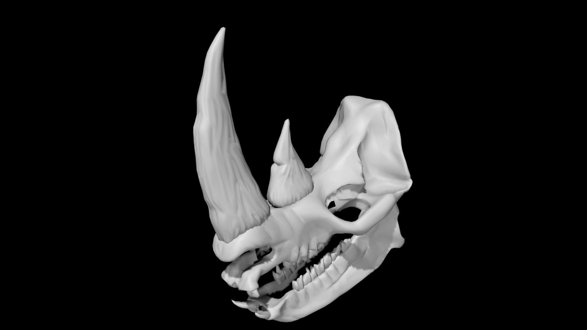 Rhino skull Low-poly 3D model_2