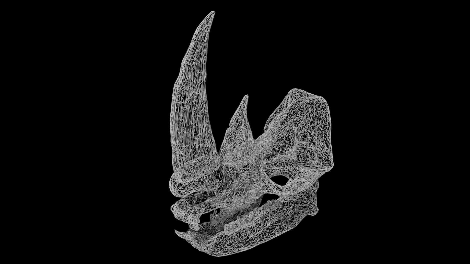 Rhino skull Low-poly 3D model_8
