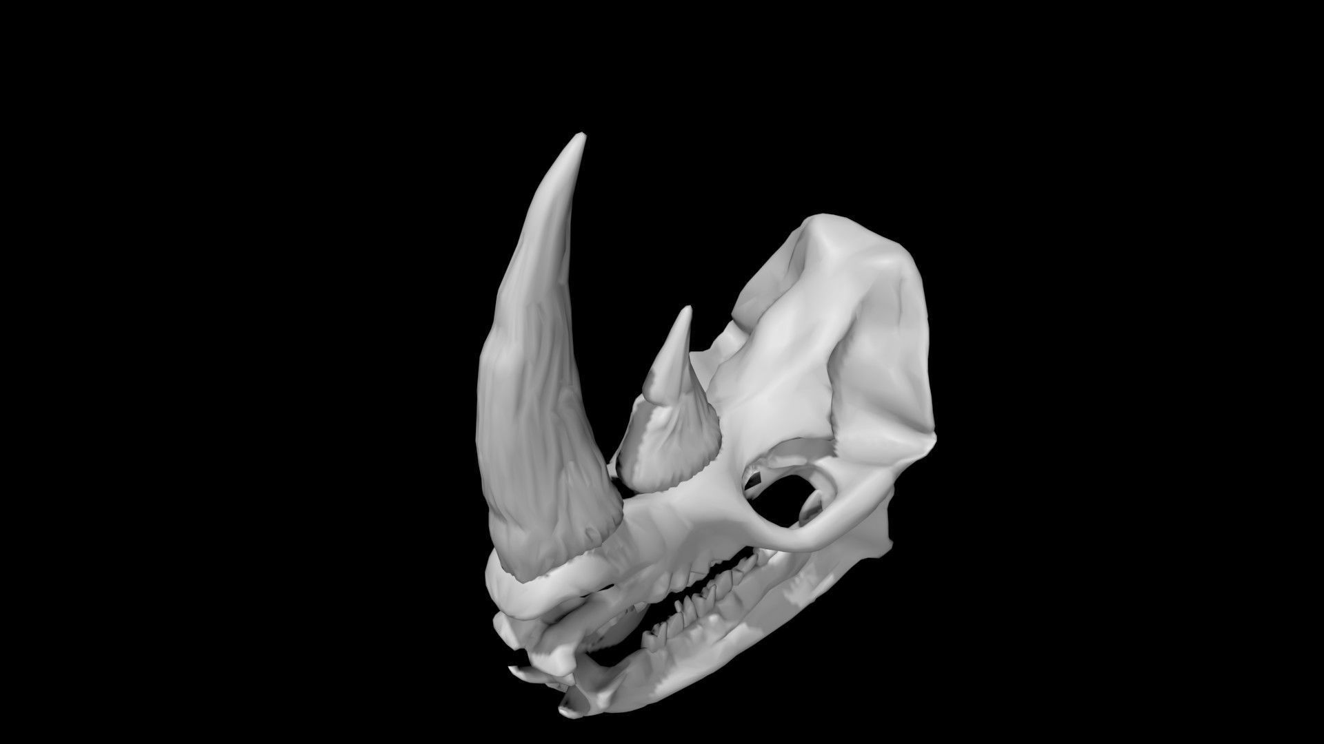 Rhino skull Low-poly 3D model_1