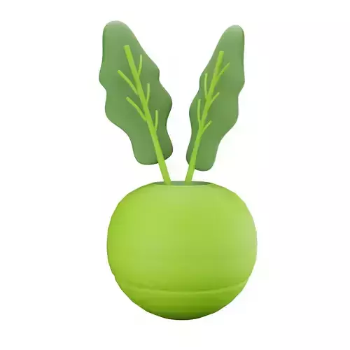 Kohlrabi beetroot planter