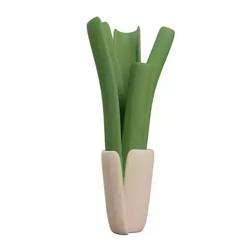Leek Vegetable Low-poly 3D model