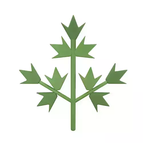 Parsley cactus leaf icon design