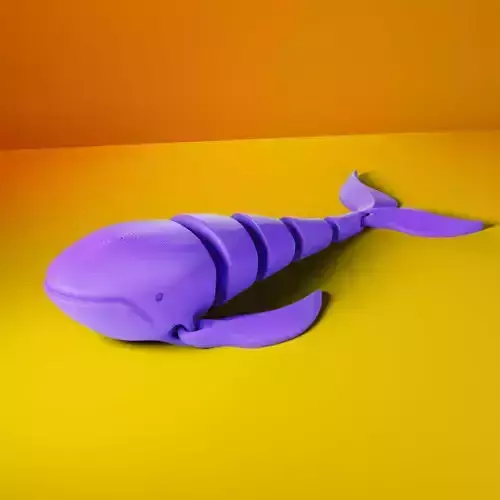 FLEXI WHALE