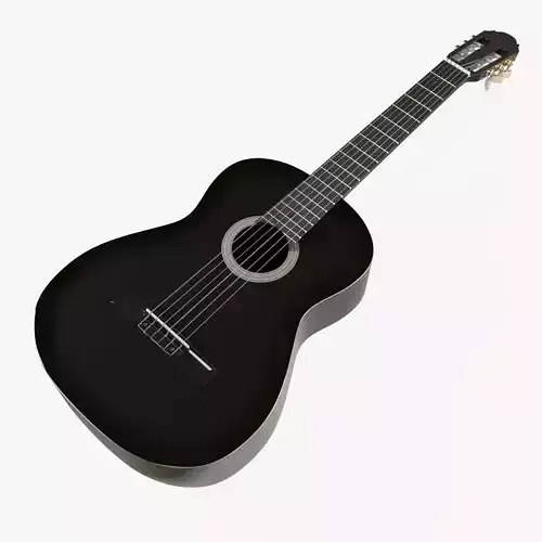 Black Acoustic Guitar