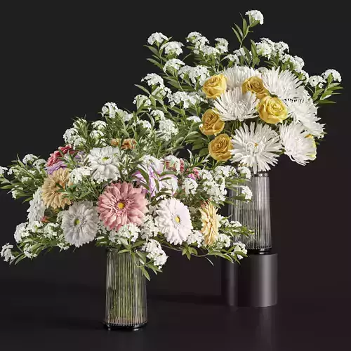 Flower Set 021 Gerbera Chrysanthemum 3D model