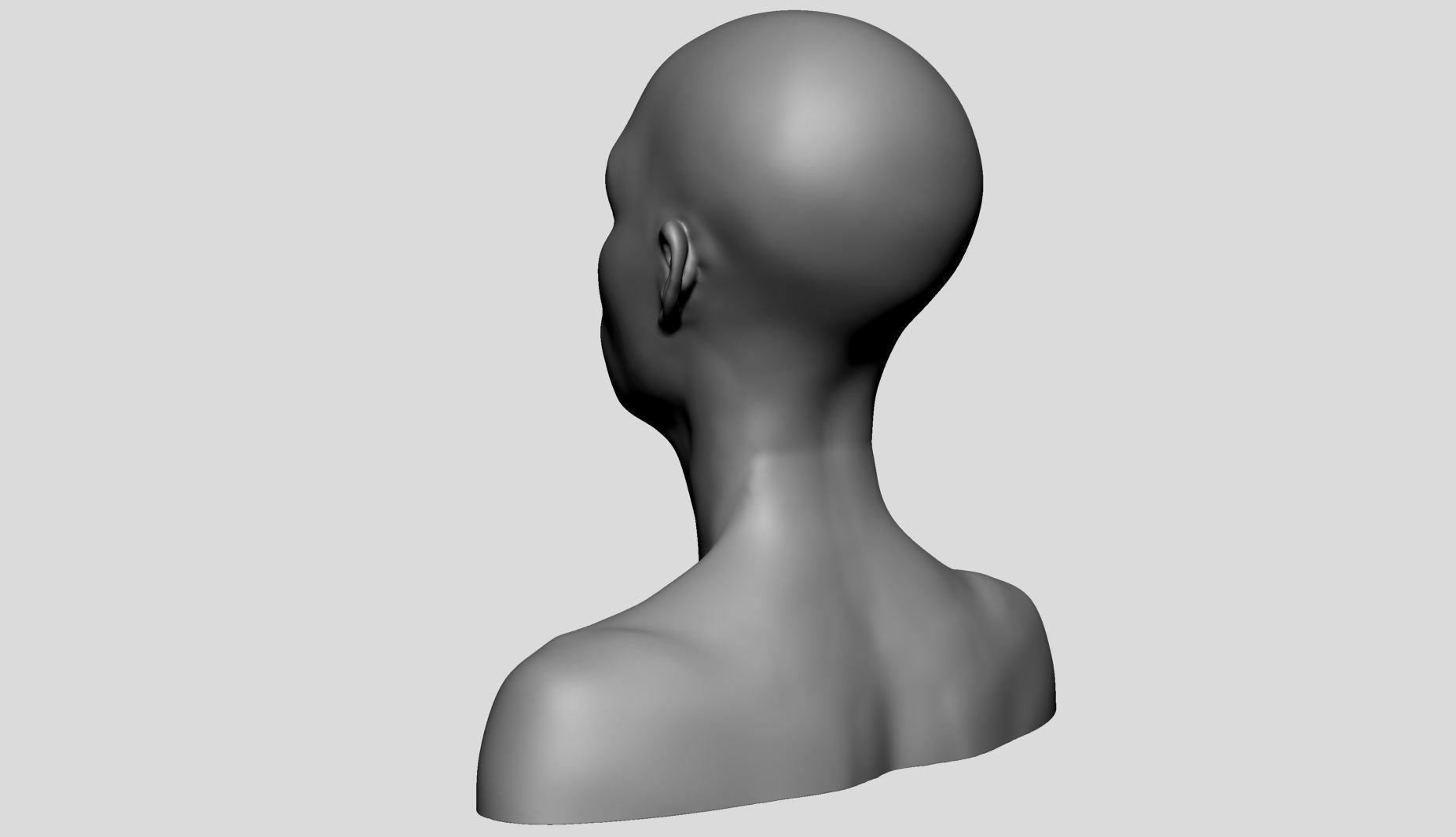 Female Head v16 3D model_5