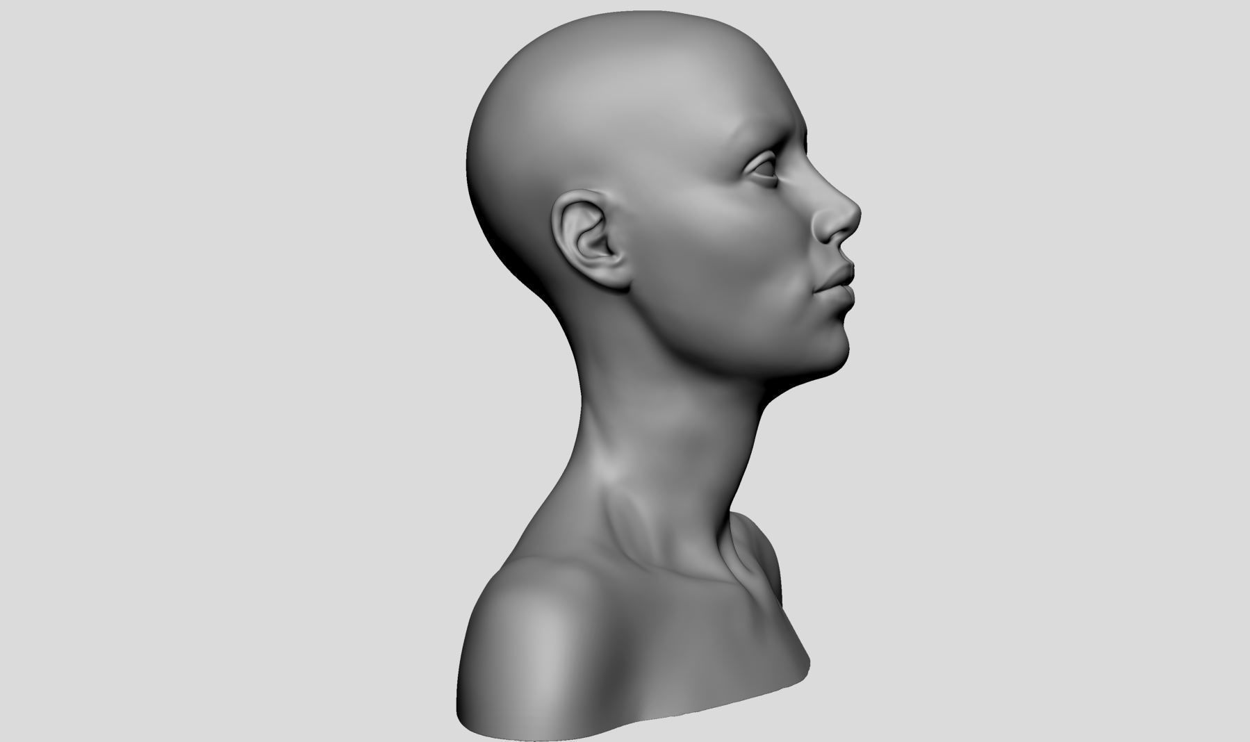 Female Head v16 3D model_2