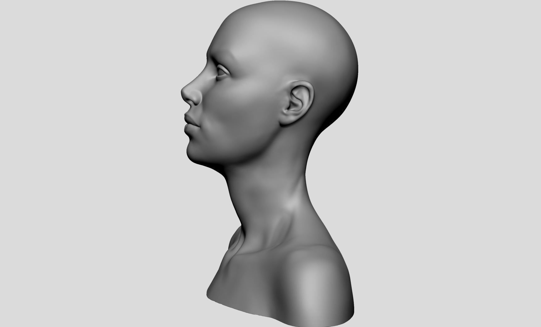 Female Head v16 3D model_6