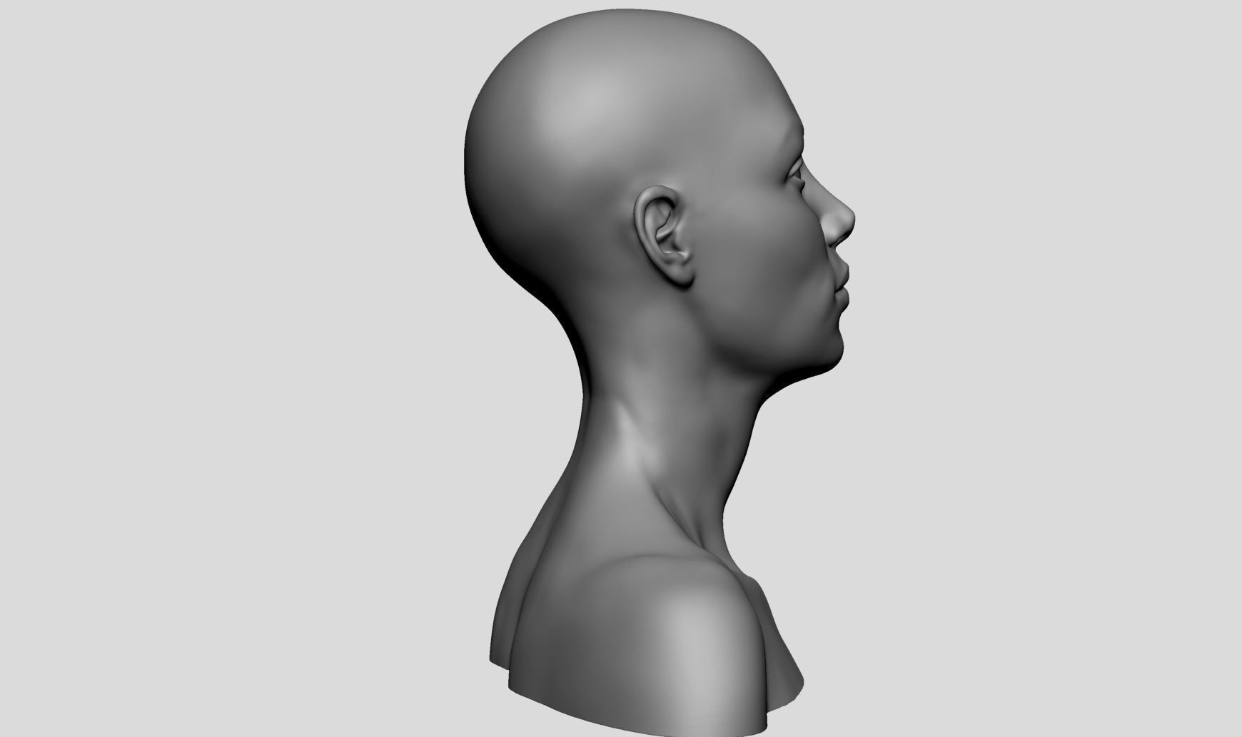 Female Head v16 3D model_3
