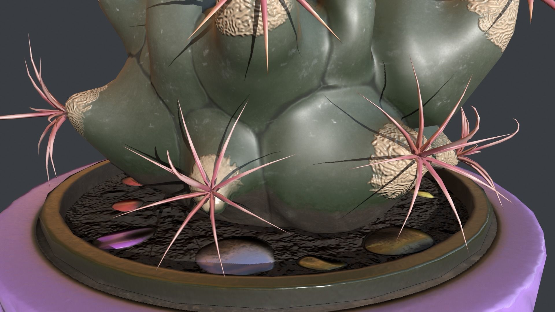 Ferocactus emori Low-poly 3D model_7