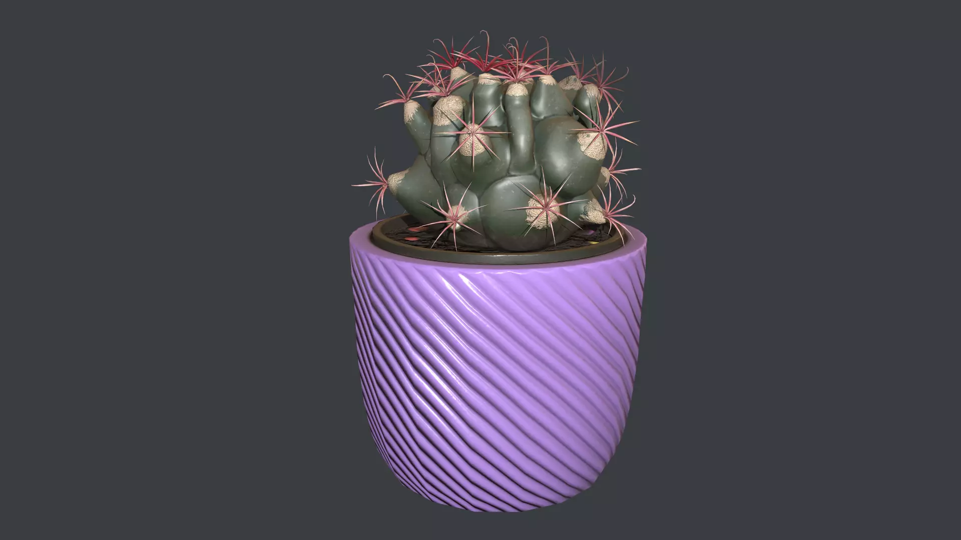 Ferocactus emori Low-poly 3D model_0
