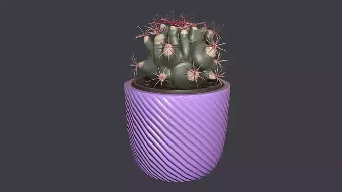 Ferocactus emori Low-poly 3D model